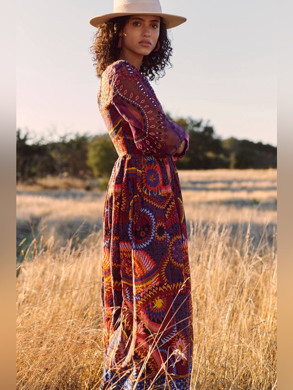 Anthropologie Maren Embroidered Dress 10P